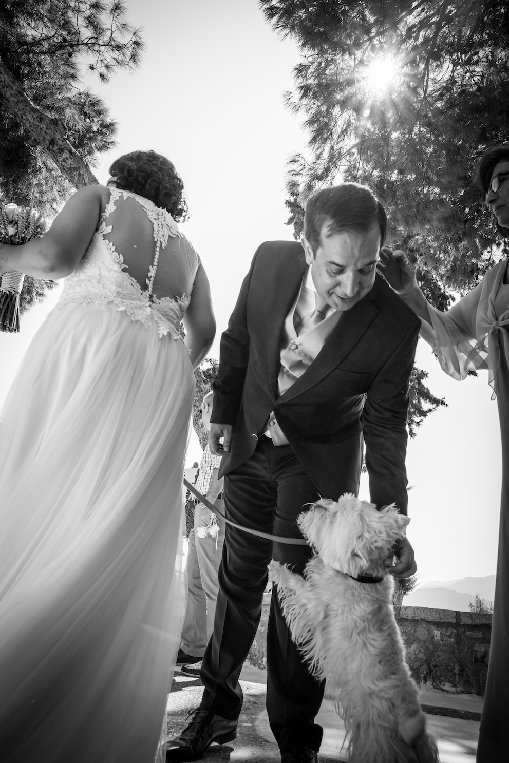 A lovely moment between a groom and his dog.